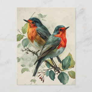 Vintage roter Breasted Robin Postcard Postkarte