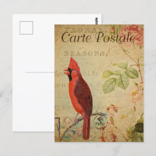 Vintage Roter Kardinalvogel Postkarte