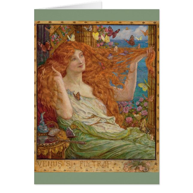 Vintage Rotkopffliegen und Schmetterlinge, (Vorne)