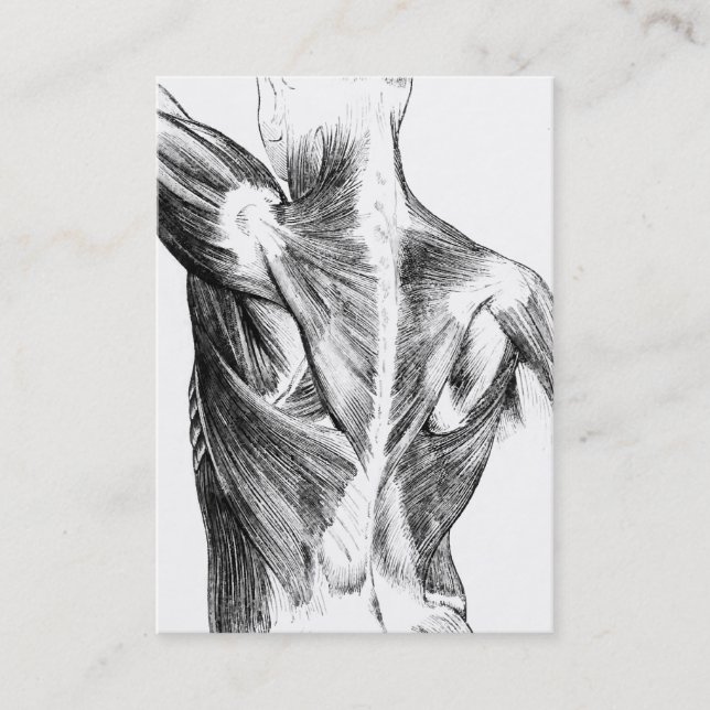 Vintage Rückenmuskel der Anatomie-| (circa 1852) | Visitenkarte (Vorderseite)