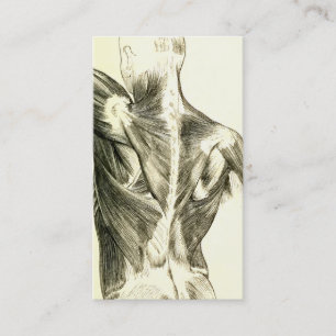 Vintage Rückenmuskel der Anatomie-  (circa 1852) Visitenkarte