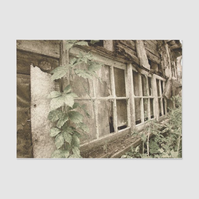 Vintage rustikale Holzschutzfenster Seidenpapier (Vorderseite)