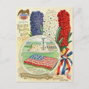 Vintage Saatgutanzeige Postkarte