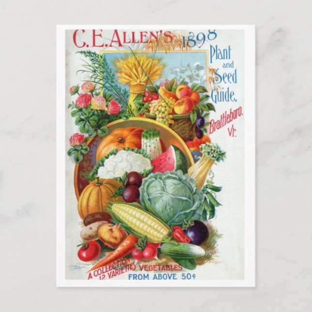 Vintage Saatgutanzeige Postkarte (Vorderseite)
