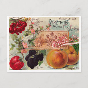 Vintage Saatgutanzeige Postkarte