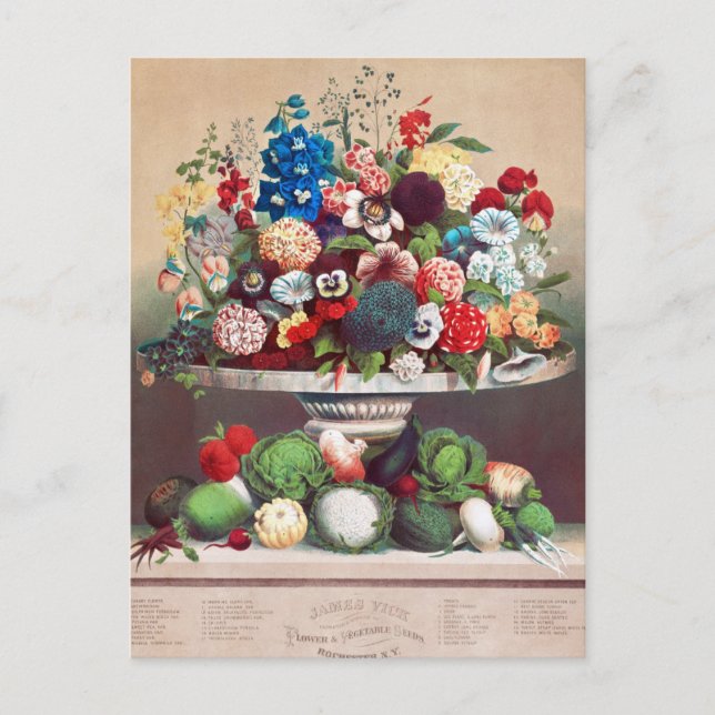 Vintage Saatgutanzeige Postkarte (Vorderseite)
