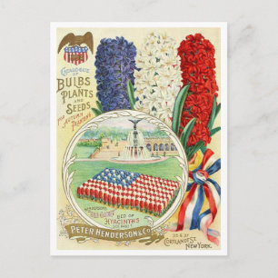 Vintage Saatgutanzeige Postkarte