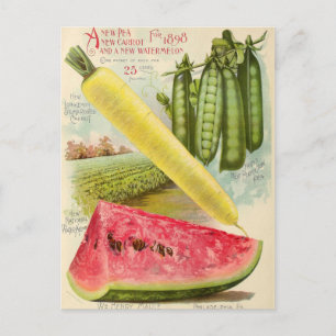 Vintage Saatgutanzeige Postkarte