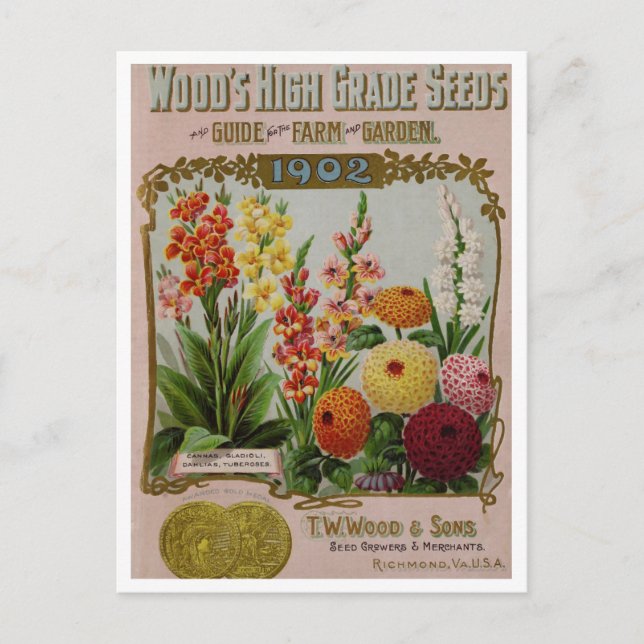 Vintage Saatgutanzeige Postkarte (Vorderseite)