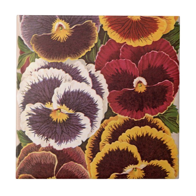 Vintage Saatpacketiketten, Blume der Gartenhalle Fliese (Vorderseite)