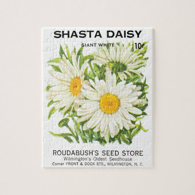 Vintage Saatpackung Kunst, Shasta Daisy Blume (Vertikal)