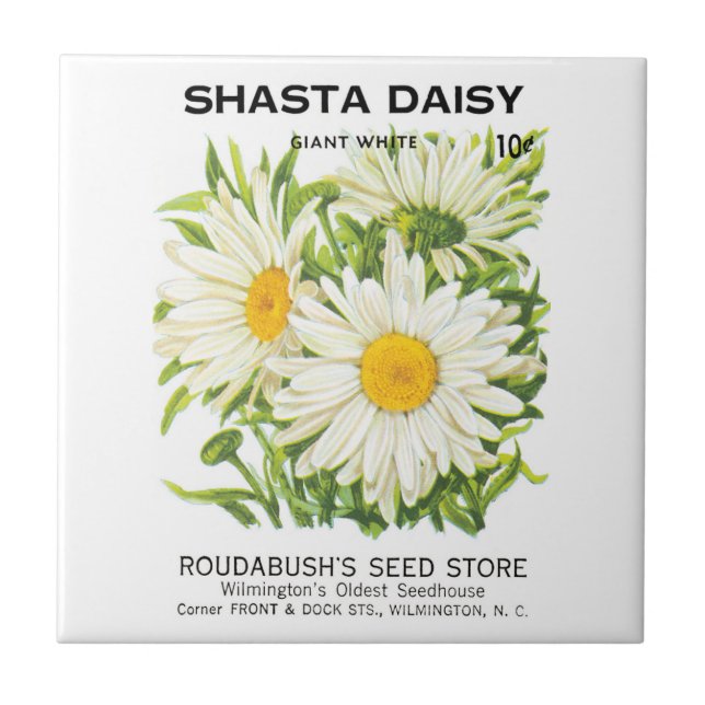 Vintage Saatpackung Kunst, Shasta Daisy Blume Fliese (Vorderseite)