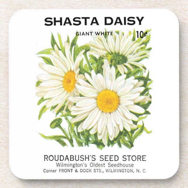 Vintage Saatpackung Kunst, Shasta Daisy Blume Getränkeuntersetzer (Vorderseite)
