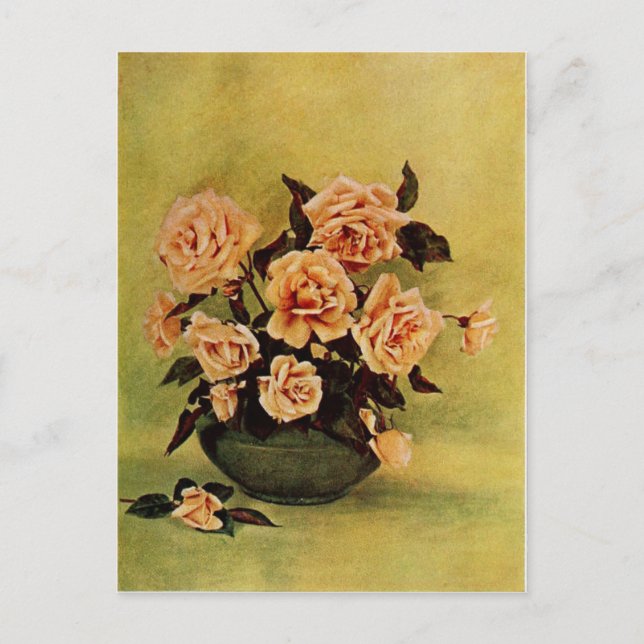Vintage Safrano-Rose von Frederick Martin Postkarte (Vorderseite)