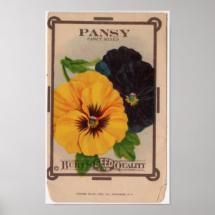 Vintage Samen-Pakete Poster