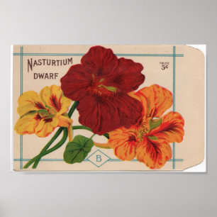 Vintage Samen-Pakete Poster