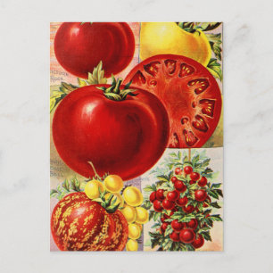 Vintage-Samen-Werbe-Postkarte Postkarte
