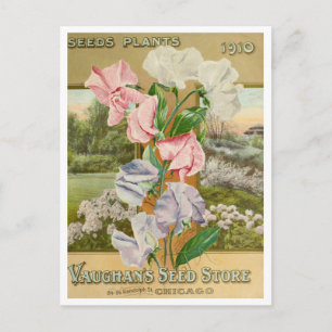 Vintage-Samen-Werbe-Postkarte Postkarte