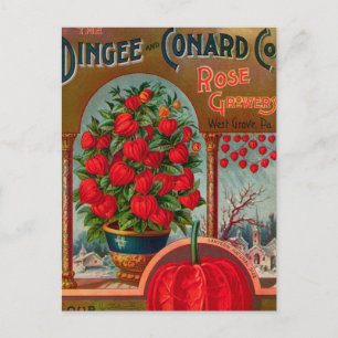 Vintage-Samen-Werbe-Postkarte Postkarte
