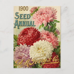 Vintage-Samen-Werbe-Postkarte Postkarte