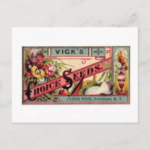 Vintage-Samen-Werbung Postkarte
