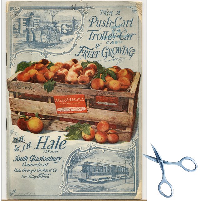 Vintage Samenkataloge Seidenpapier (Von Creator hochgeladen)