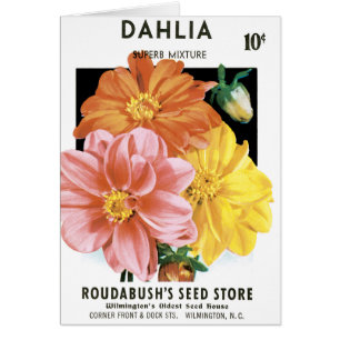 Vintage-Samenpaket-Kunst, Dahlien-Gartenblumen