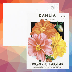 Vintage-Samenpaket-Kunst, Dahlien-Gartenblumen Postkarte
