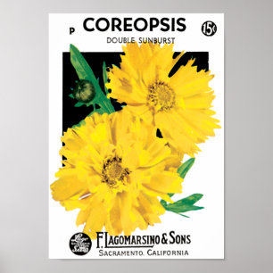 Vintage-Samenpaket-Kunst, gelbe Coreopsis-Blumen Poster