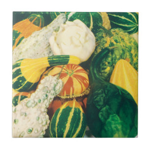 Vintage-Samenpaket-Kunst, gemischte Kürbisse Fliese