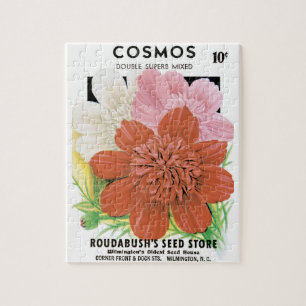 Vintage-Samenpaket-Kunst, Kosmos-Gartenblumen