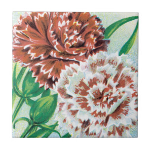 Vintage-Samenpaket-Kunst, Pinks-Nelkenblumen Fliese