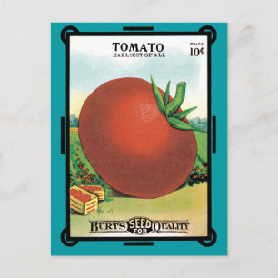 Vintage-Samenpaket-Label-Kunst, Burt's Seed Tomate Postkarte