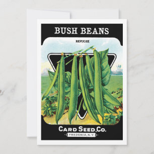 Vintage-Samenpaket-Label-Kunst, Buschbohnen-Gemüse