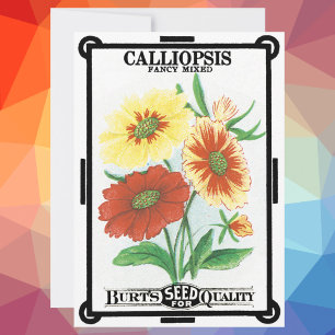 Vintage-Samenpaket-Label-Kunst, Calliopsis-Blumen