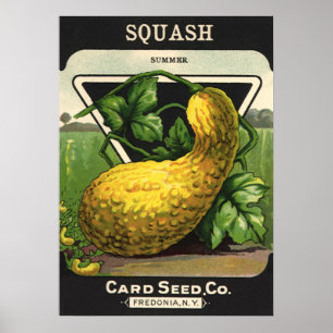 Vintage-Samenpaket-Label-Kunst Gelber Sommersquash Poster