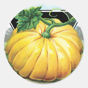Vintage-Samenpaket-Label-Kunst, Halloween-Kürbis Runder Aufkleber