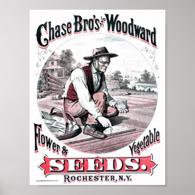 Vintage-Samenwerbeposter Poster (Vorne)
