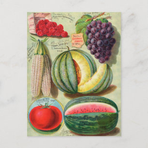 Vintage-Samenwerbepostkarte Postkarte