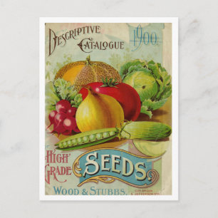 Vintage-Samenwerbepostkarte Postkarte