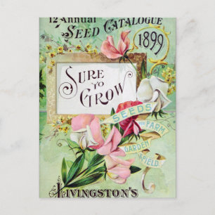 Vintage-Samenwerbepostkarte Postkarte
