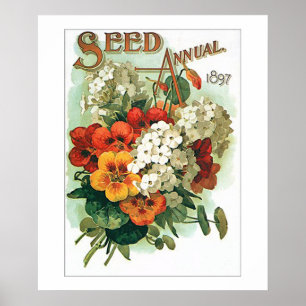 Vintage Sammelsaatgut Blumen Samenpacket Poster