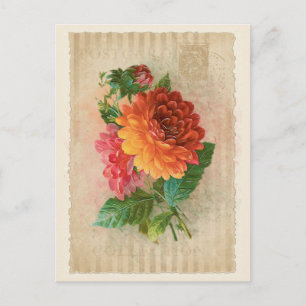 Vintage Sammlung Postkarte - Vol.4 - Postkarte