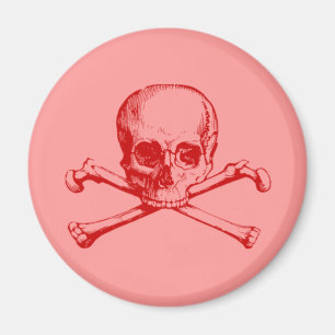 Vintage Schädel und Kreuzknochen Magnet