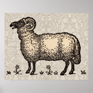 Vintage-Schaf-Illustration: Klassische Farmkunst Poster