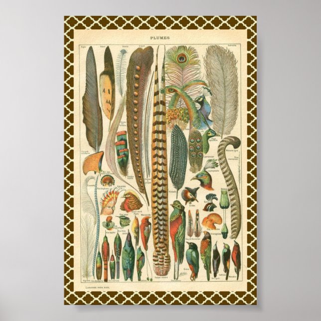 Vintage Schalen Poster (Vorne)