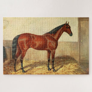 Vintage Schildkröte (1905)