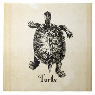 VINTAGE SCHILDKRÖTE FLIESE