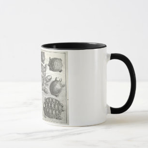 Vintage-Schildkröten-Radierung Tasse