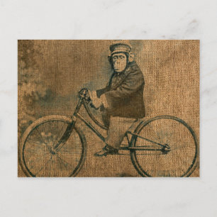 Vintage Schimpanse auf einem Fahrrad Postkarte